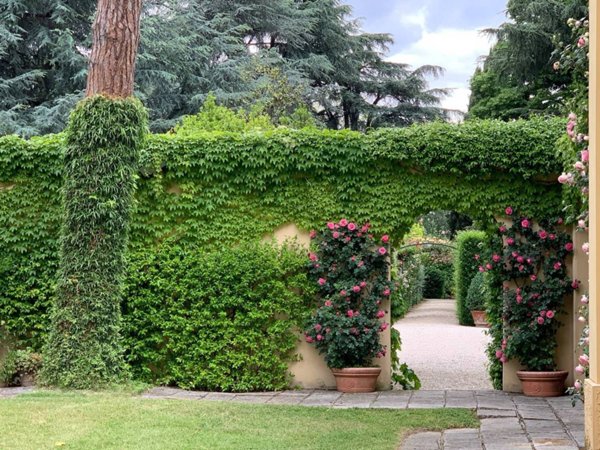 casa indipendente in vendita a Cesena in zona Tipano