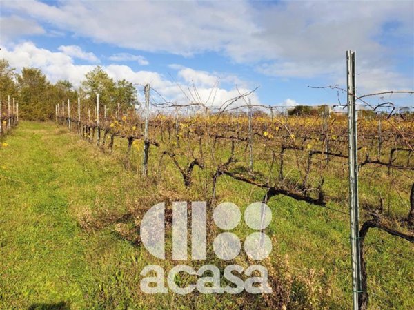 terreno agricolo in vendita a Cesena in zona Carpineta