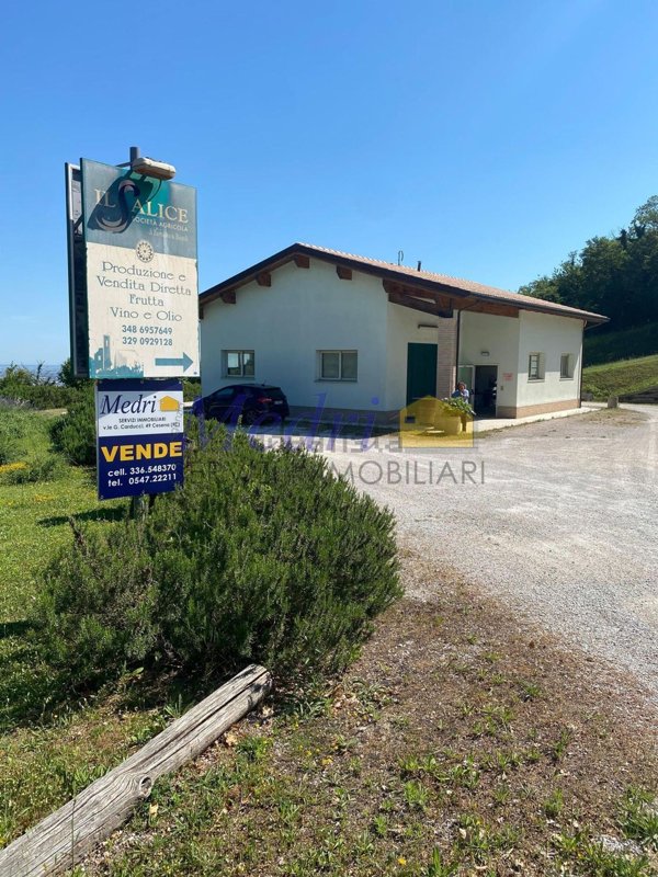 terreno agricolo in vendita a Cesena in zona Saiano