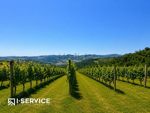 terreno agricolo in vendita a Cesena in zona Carpineta