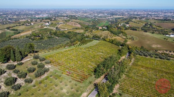 terreno agricolo in vendita a Cesena in zona Carpineta