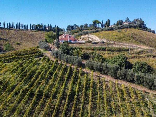terreno agricolo in vendita a Cesena