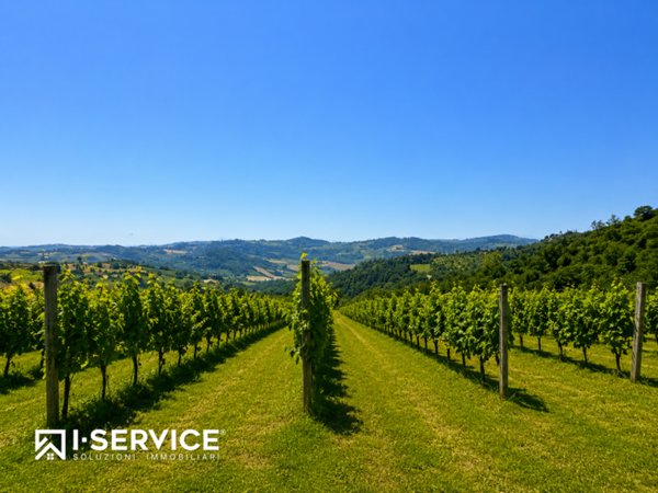 terreno agricolo in vendita a Cesena in zona Carpineta