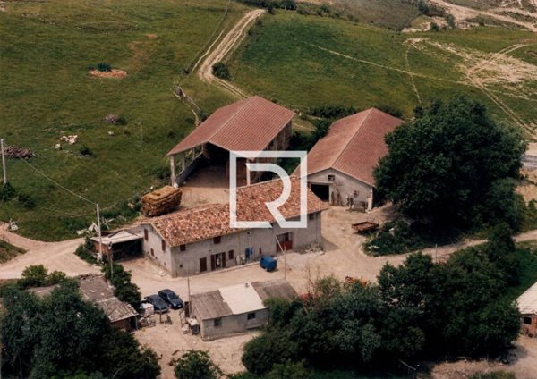 azienda agricola in vendita a Cesena in zona Centro Storico