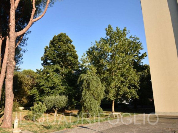 appartamento in vendita a Cesena in zona Oltresavio