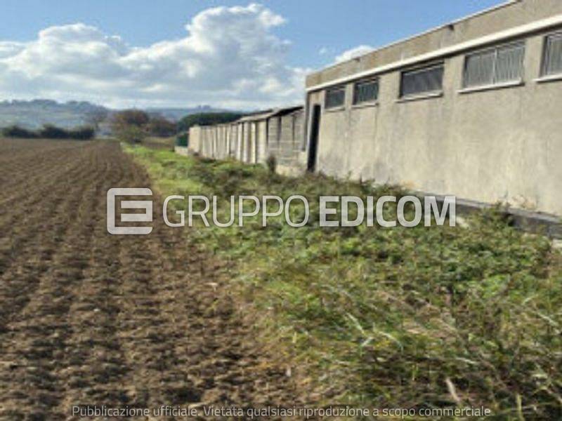 terreno agricolo in vendita a Cesena in zona Madonna dell'Ulivo