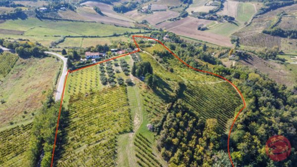 terreno agricolo in vendita a Cesena in zona Carpineta