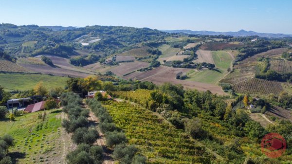 terreno agricolo in vendita a Cesena in zona Carpineta