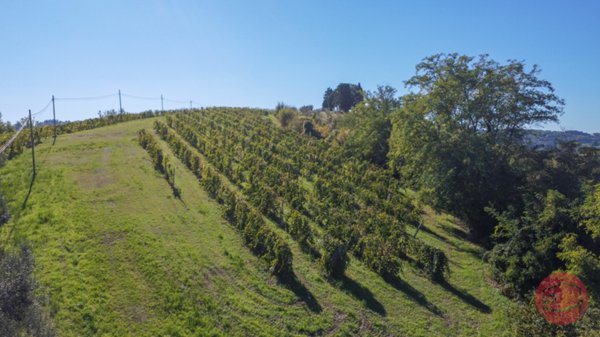 terreno agricolo in vendita a Cesena in zona Carpineta