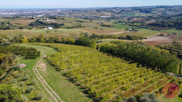 terreno agricolo in vendita a Cesena in zona Carpineta