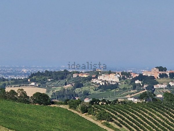 terreno agricolo in vendita a Cesena in zona Cesuola