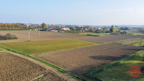 terreno agricolo in vendita a Cesena