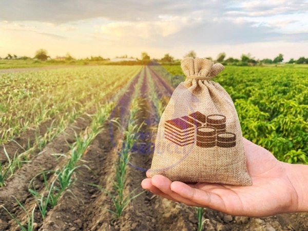 terreno agricolo in vendita a Cesenatico in zona Bagnarola