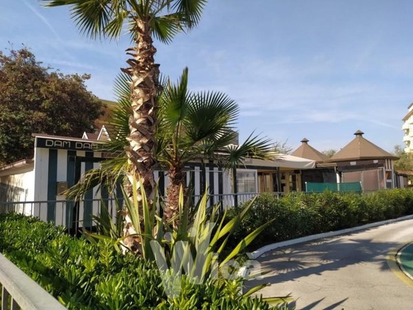 negozio in vendita a Cesenatico in zona Valverde