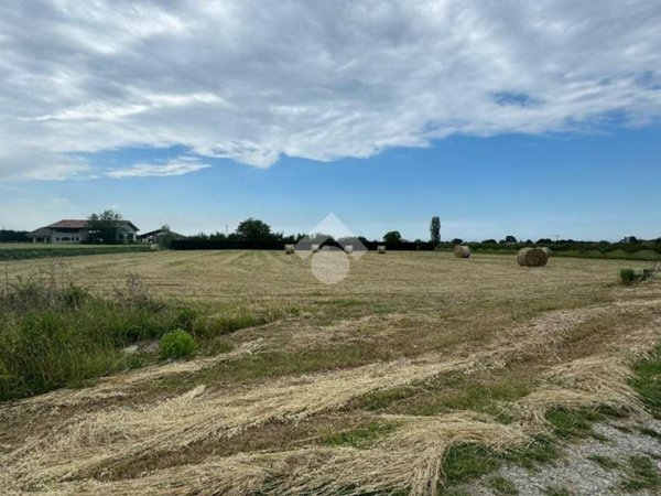 terreno agricolo in vendita a Cesenatico in zona Borella