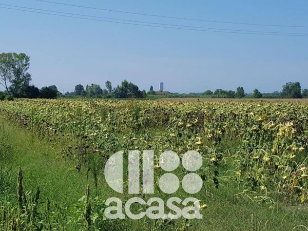 terreno agricolo in vendita a Cesenatico in zona Sala