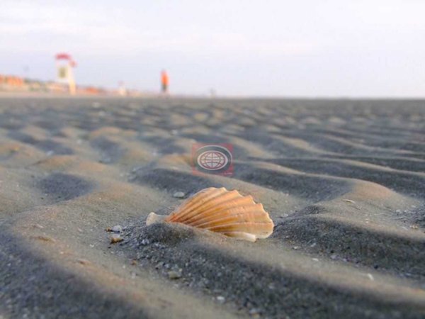 negozio in vendita a Cesenatico