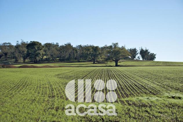capannone in vendita a Cesenatico in zona Borella