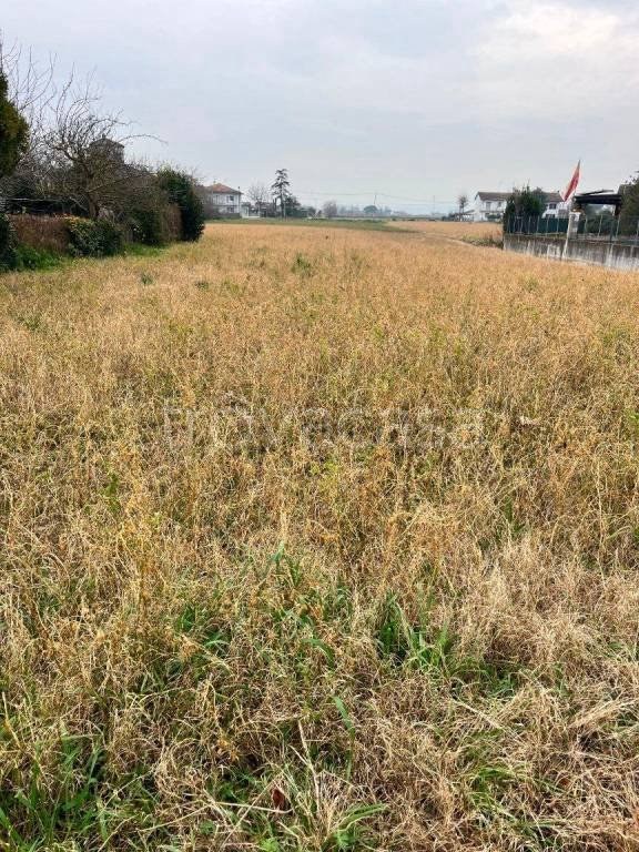 terreno agricolo in vendita a Cesenatico