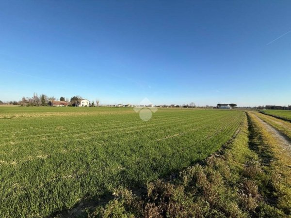 terreno agricolo in vendita a Cesenatico in zona Sala