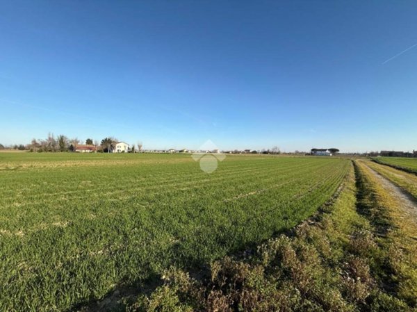 terreno agricolo in vendita a Cesenatico in zona Sala