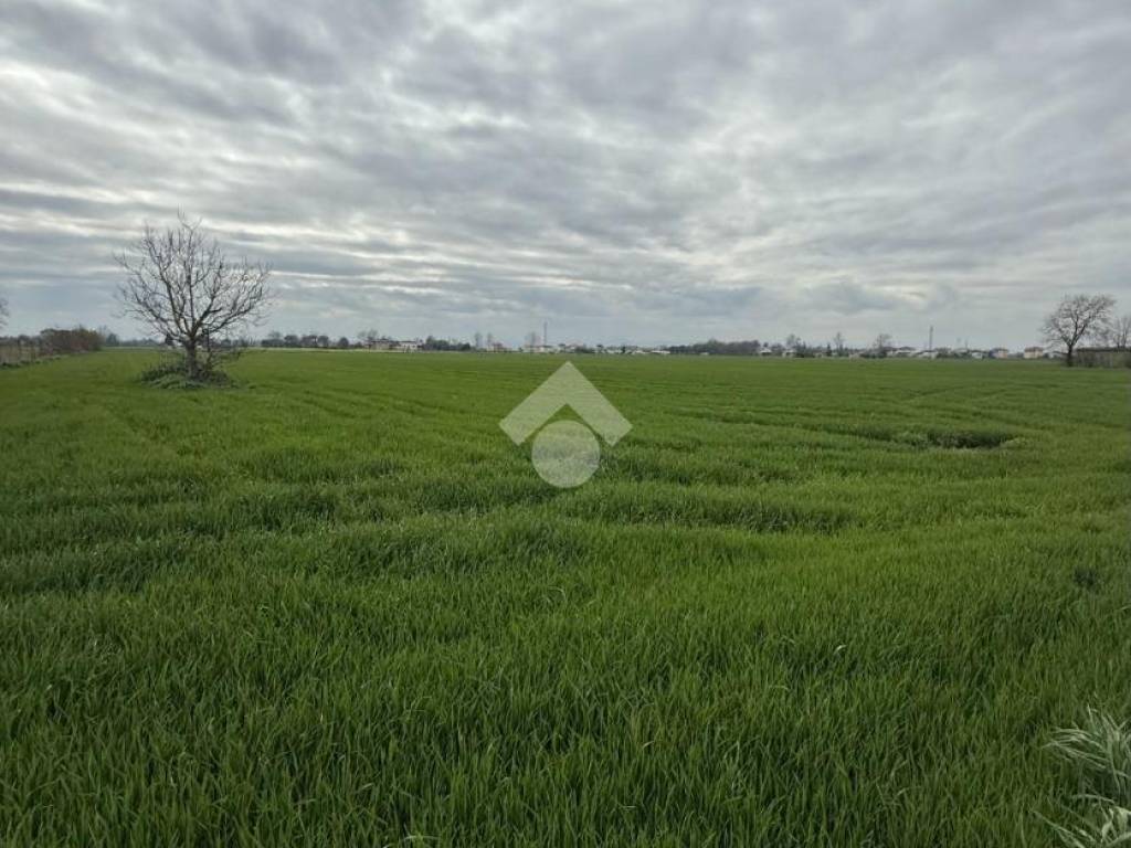 terreno agricolo in vendita a Cesenatico in zona Sala