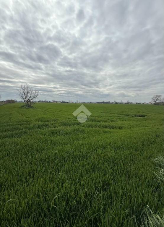 terreno agricolo in vendita a Cesenatico in zona Sala