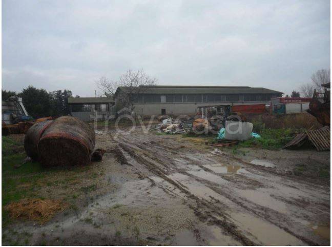 negozio in vendita a Cesenatico in zona Borella