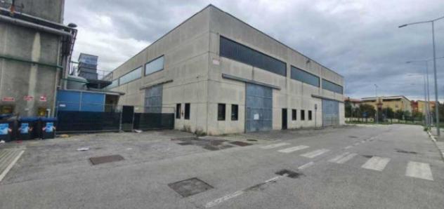 pentavano in vendita a Cesenatico