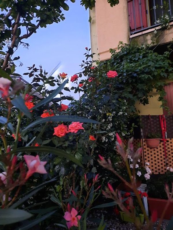 casa indipendente in vendita a Cesenatico in zona Villamarina