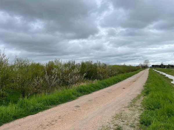 terreno agricolo in vendita a Cesenatico in zona Villamarina