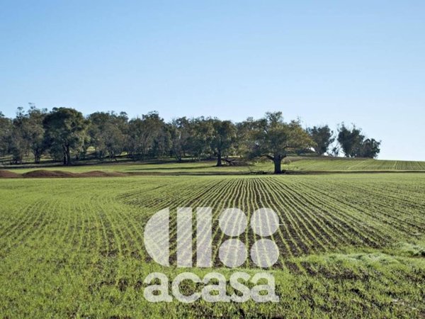 locale commerciale in vendita a Cesenatico in zona Borella