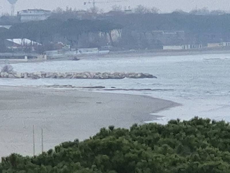 appartamento in vendita a Cesenatico
