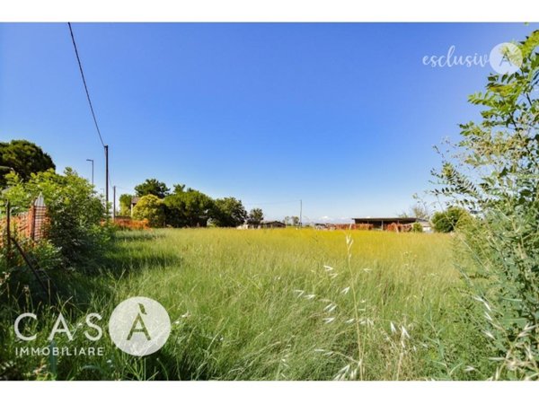 immagine annuncio 0 di 6