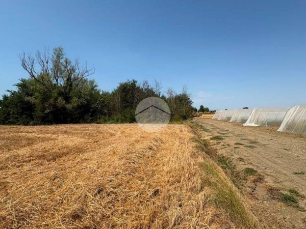 terreno agricolo in vendita a Cesenatico in zona Villalta