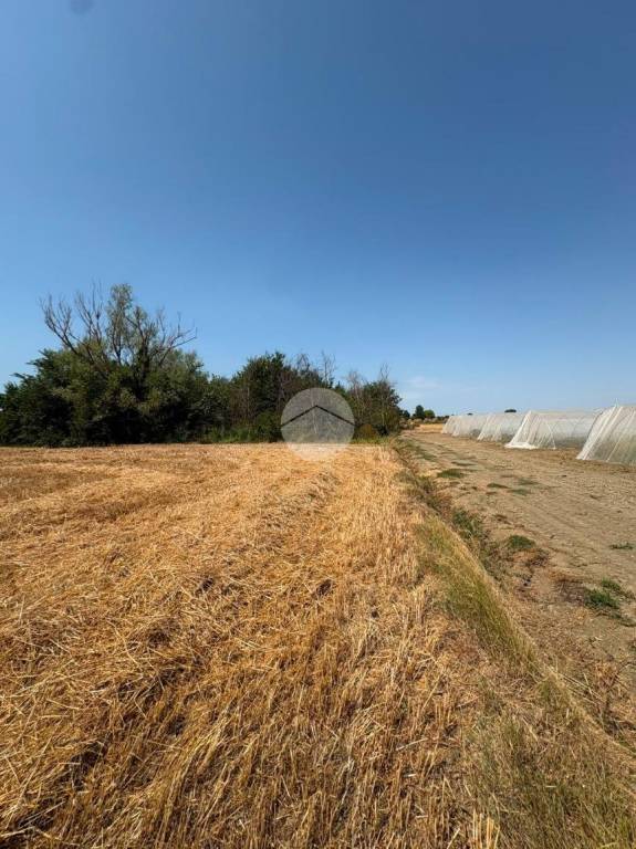 terreno agricolo in vendita a Cesenatico in zona Villalta