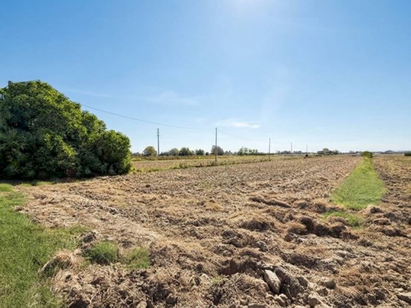 terreno agricolo in vendita a Cesenatico in zona Borella
