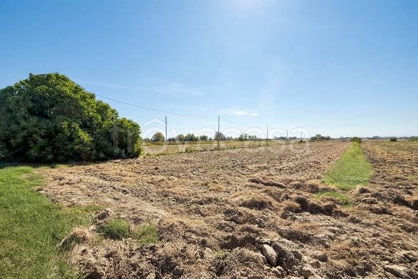 terreno agricolo in vendita a Cesenatico in zona Borella