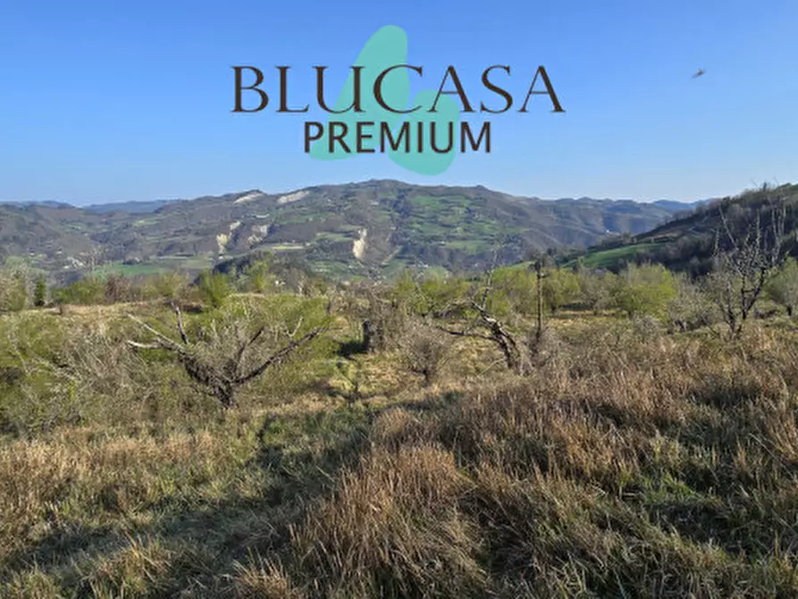 attico in vendita a Civitella di Romagna