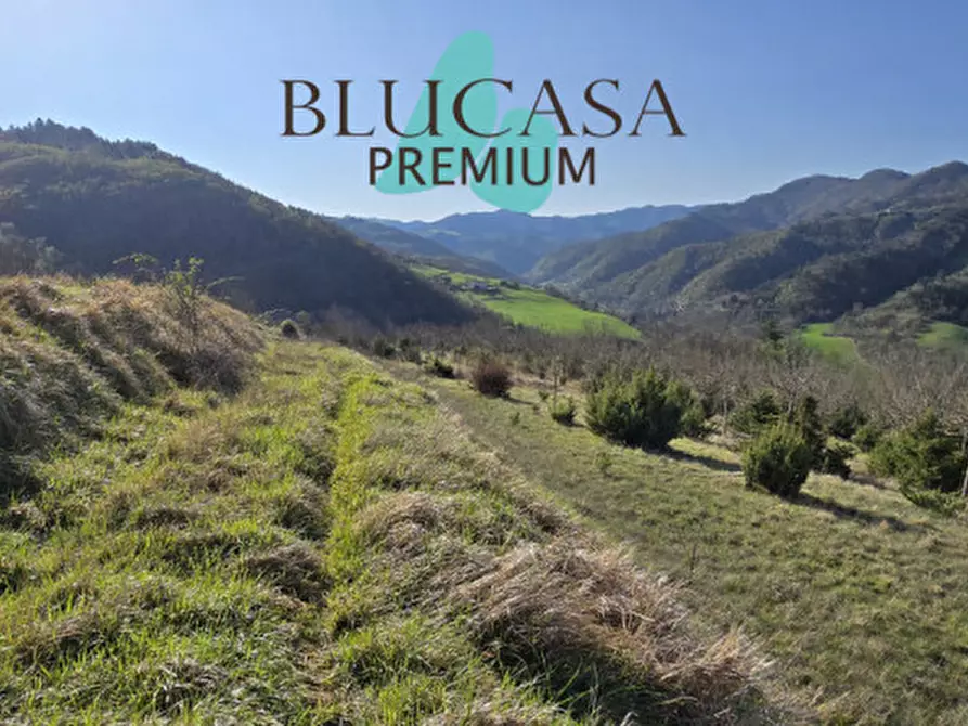 attico in vendita a Civitella di Romagna