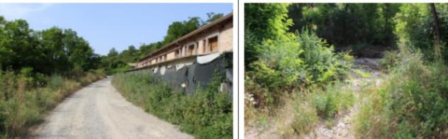casa indipendente in vendita a Civitella di Romagna