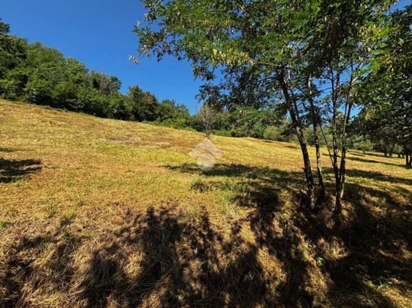 terreno edificabile in vendita a Civitella di Romagna in zona Cusercoli