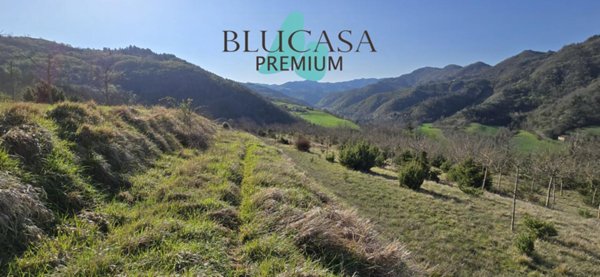 terreno agricolo in vendita a Civitella di Romagna