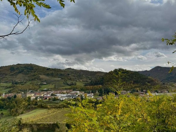 terreno agricolo in vendita a Civitella di Romagna