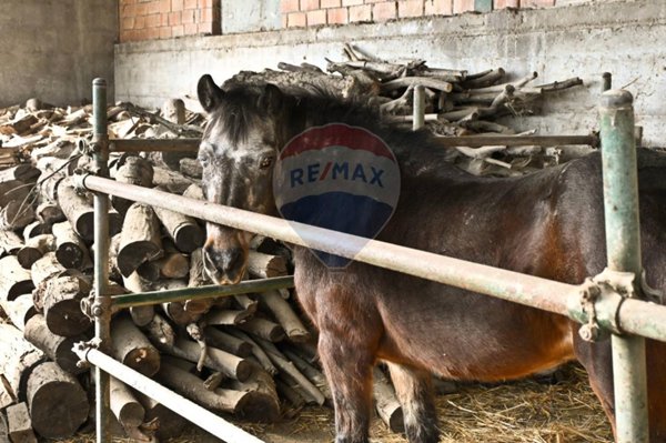 casale in vendita a Civitella di Romagna