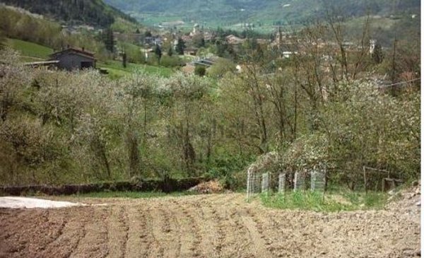 terreno edificabile in vendita a Civitella di Romagna