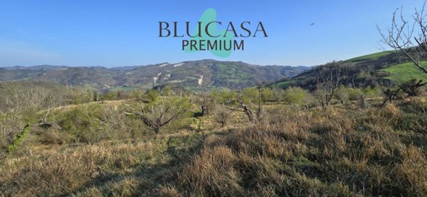 terreno agricolo in vendita a Civitella di Romagna