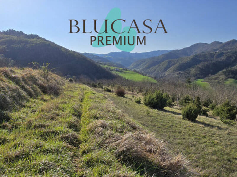 terreno agricolo in vendita a Civitella di Romagna