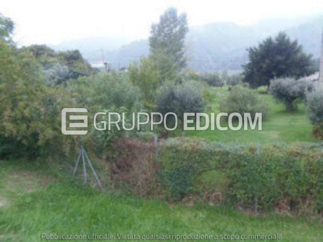 terreno agricolo in vendita a Civitella di Romagna