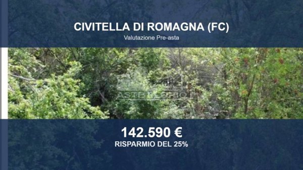 terreno agricolo in vendita a Civitella di Romagna